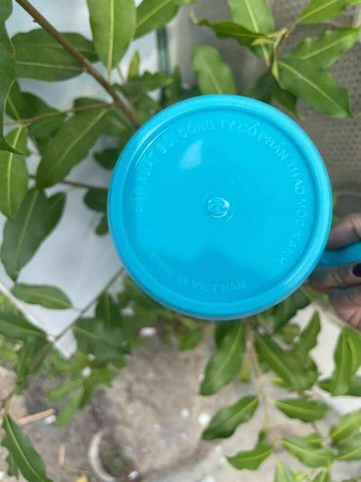 Ca nhựa 1lit