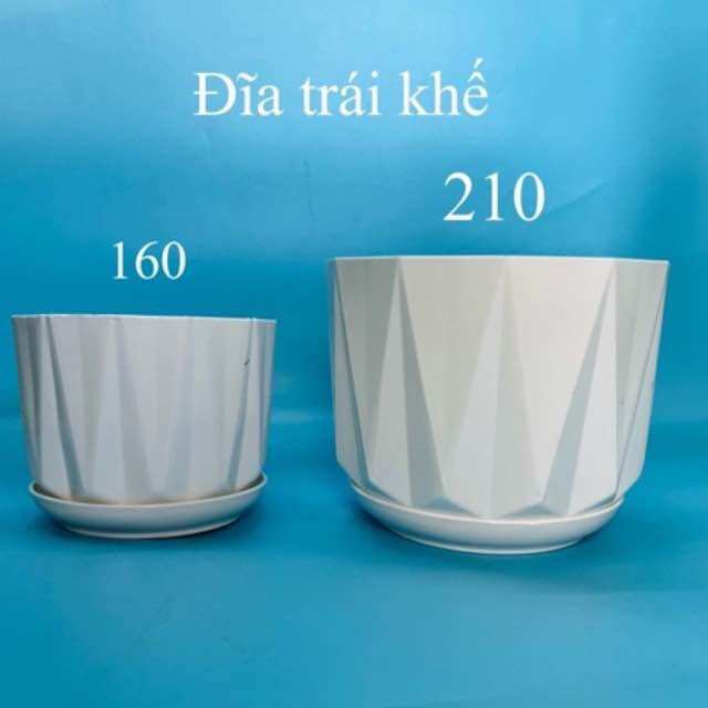 Chậu nhựa trồng cây -chậu để bàn