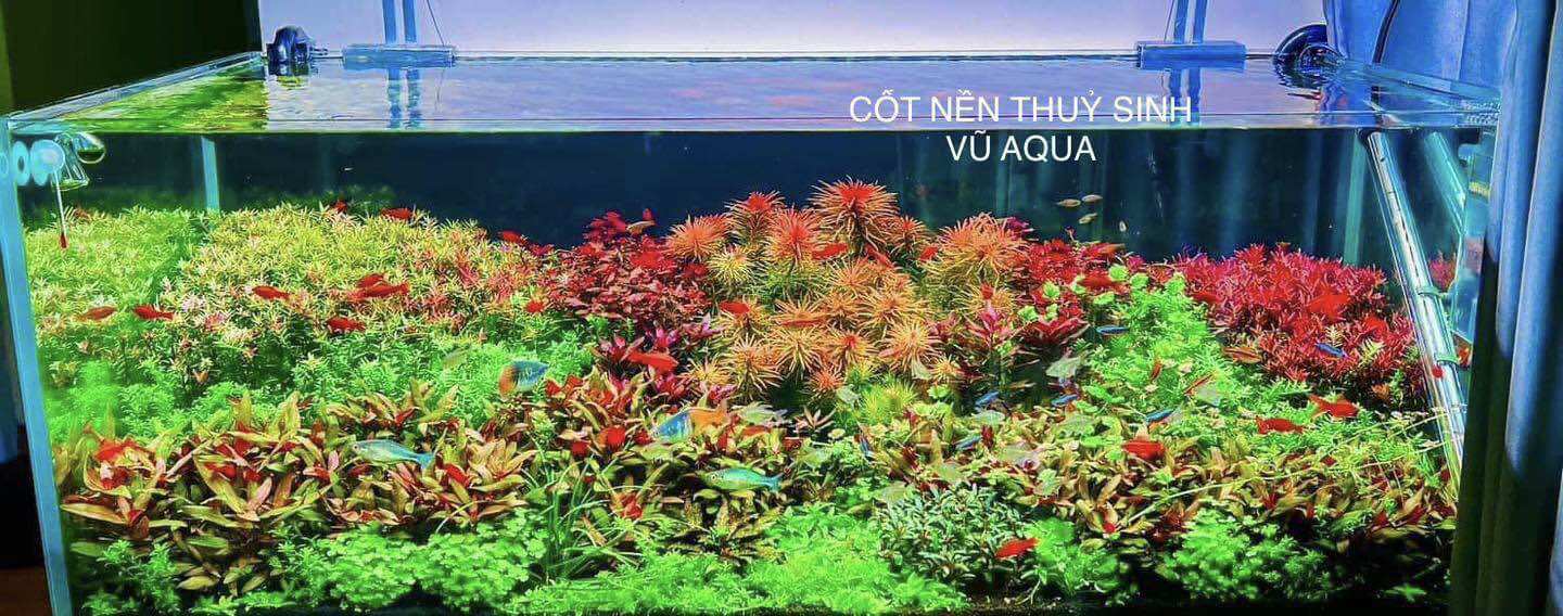 Cốt nền thủy sinh Vũ Aqua 1L/2L