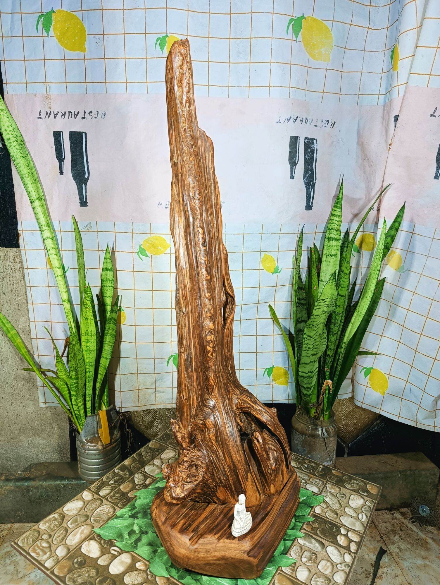 lũa gỗ thơm ngọc am đỏ hà giang