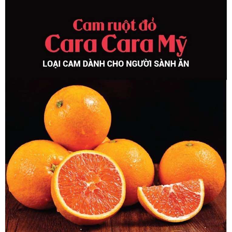 Cây giống Cam cara ruột đỏ(1bầu cây 30-40cm)