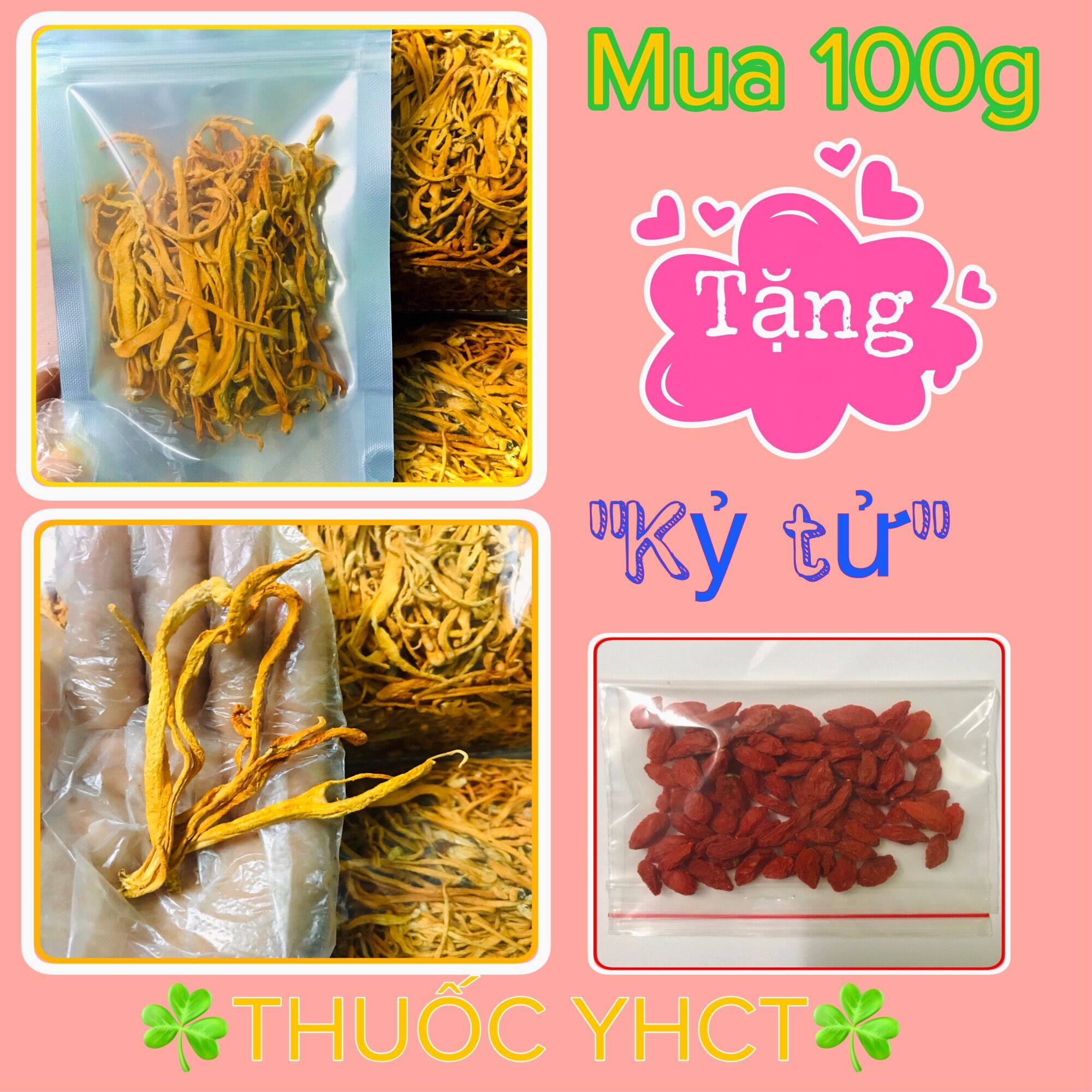 Đông trùng hạ thảo cao cấp túi 100g