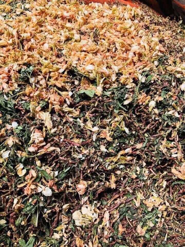 500gr Trà Sơn Mật Hồng Sâm loại ngon