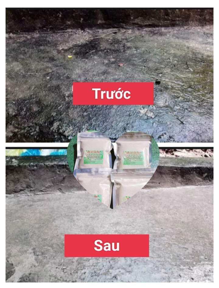 Bột tẩy rong trên nền xi măng