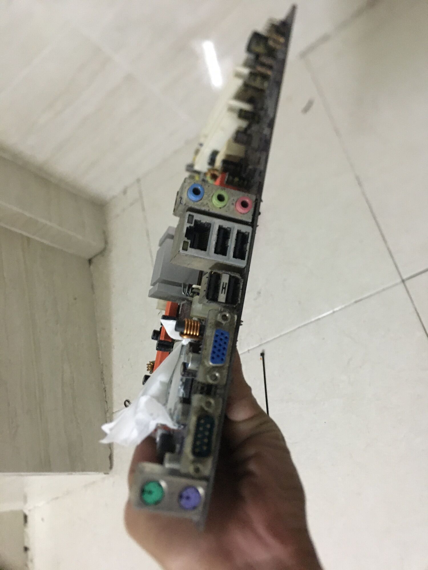 Main g31