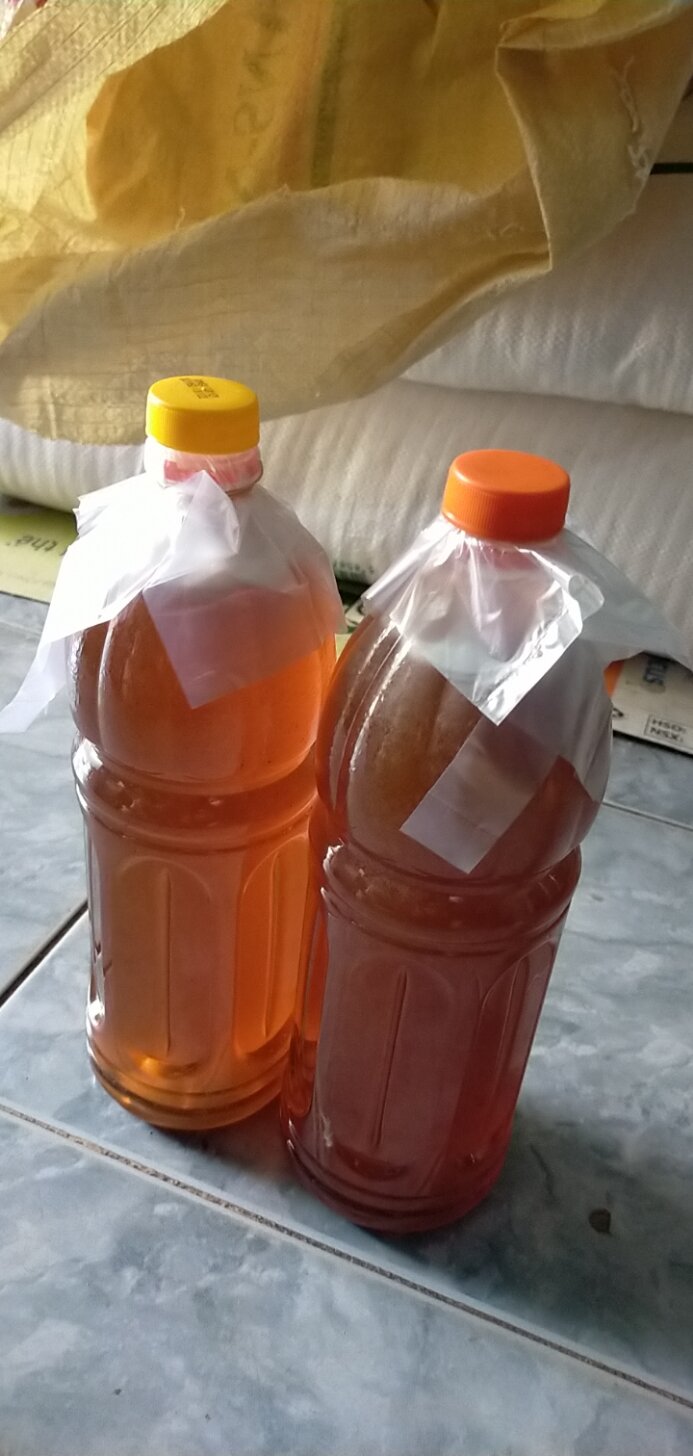 Mật ong rừng nguyên chất không pha chế, vắt bằng tay. Rất tốt cho sức khỏe.Giá 1.000.000đ/ lít.