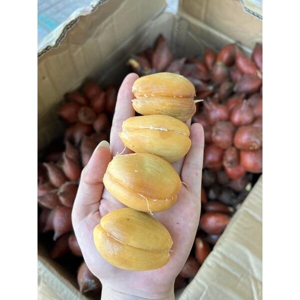 Trái mây thái 1kg đặc sản Thái Lan (hàng Nhập Khẩu)