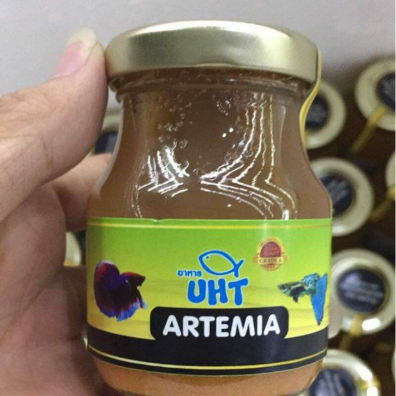 Artemia thanh trùng UHT : thức ăn cá cảnh