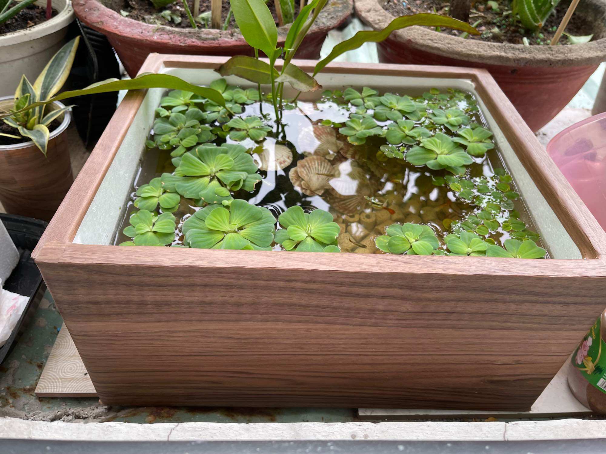 Thùng mút nuôi cá trồng cây size 45cm