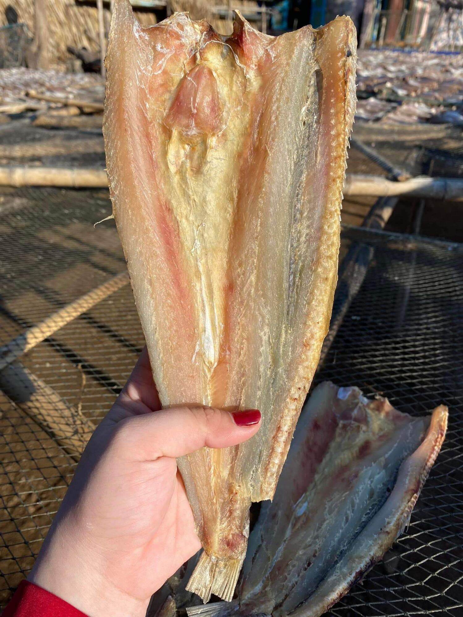 1kg cá mối khô loại ngon