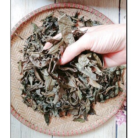 Cây Lá Gan Đặc Sản Tây Bắc [Nông sản sạch Linh Đan]