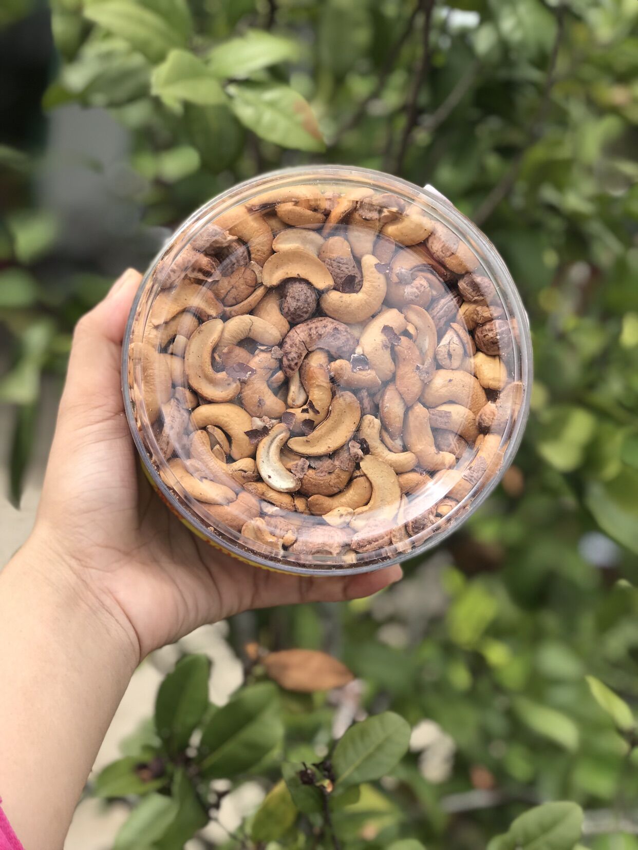 Hộp 500 gram hạt điều rang muối bể đôi có vỏ lụa chuẩn bình phước