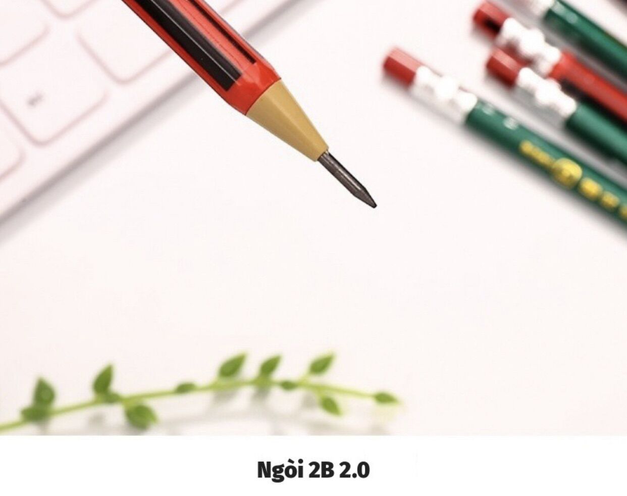 Viết Chì Bấm kèm 1 ống ruột (gồm 10ruột/ống). Ruột 2.0mm
