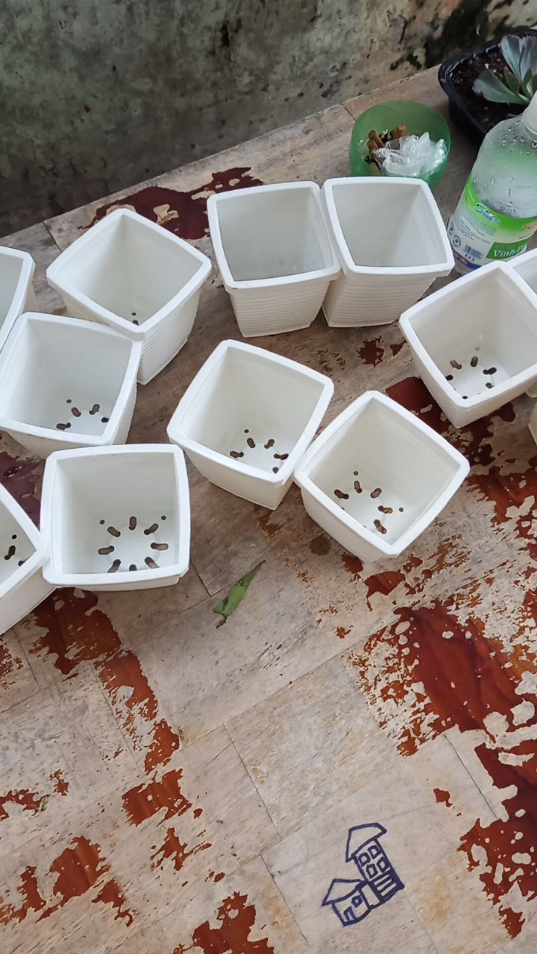 Chậu Nhựa Vuông 9x9cm (Màu Ngẫu Nhiên)