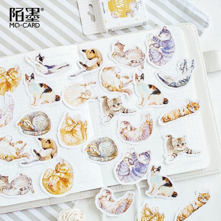 Hộp sticker box nhiều loại dễ thương