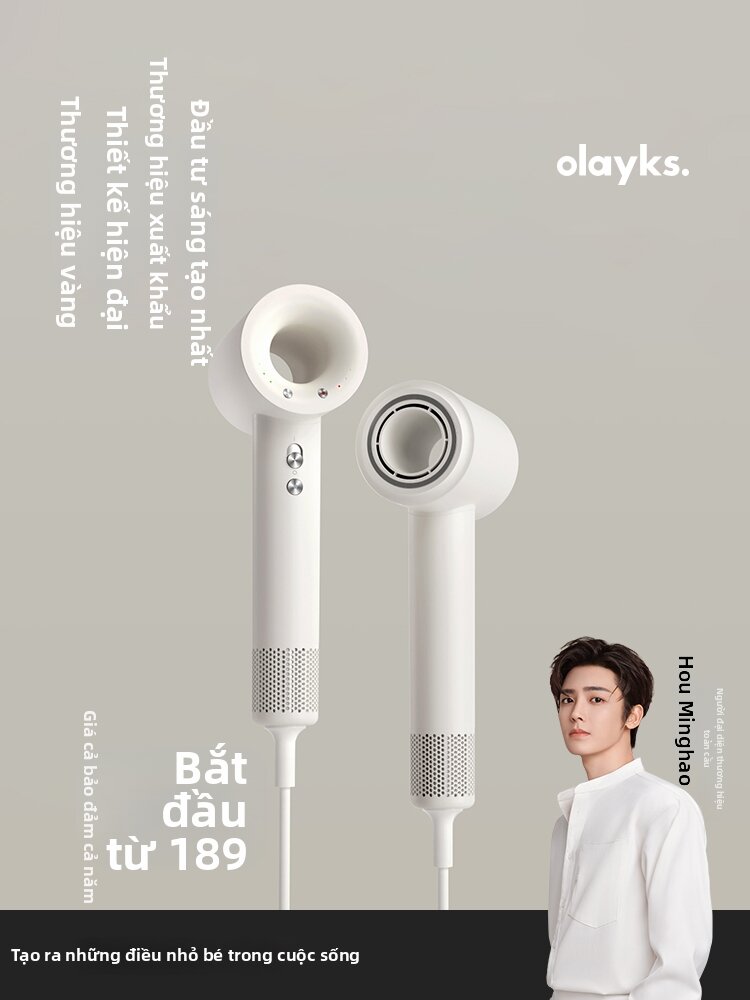 Olayks | Ionic Hair Care Thermostat Electric Hair Dryer