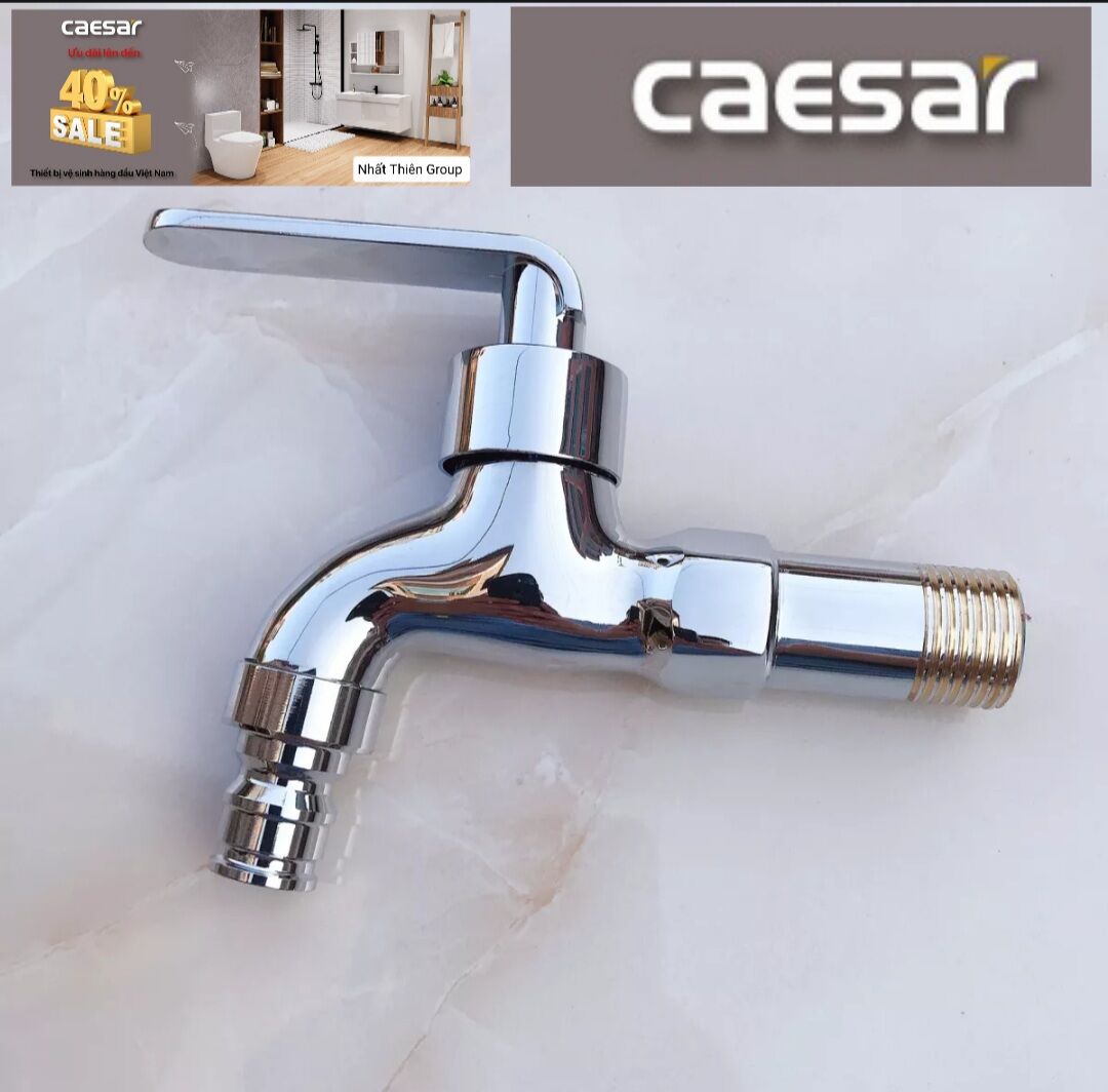 Vòi Lạnh Gắn Tường CAESAR WP027C