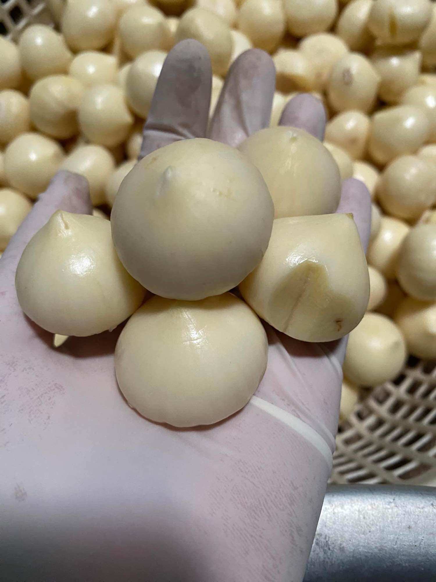 Tỏi cô đơn bóc sẵn túi 1kg( tặng 1 bàn chải đánh răng)
