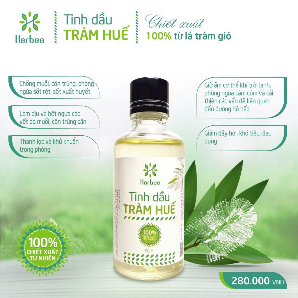 Tinh Dầu Tràm Huế Herbee Nguyên Chất