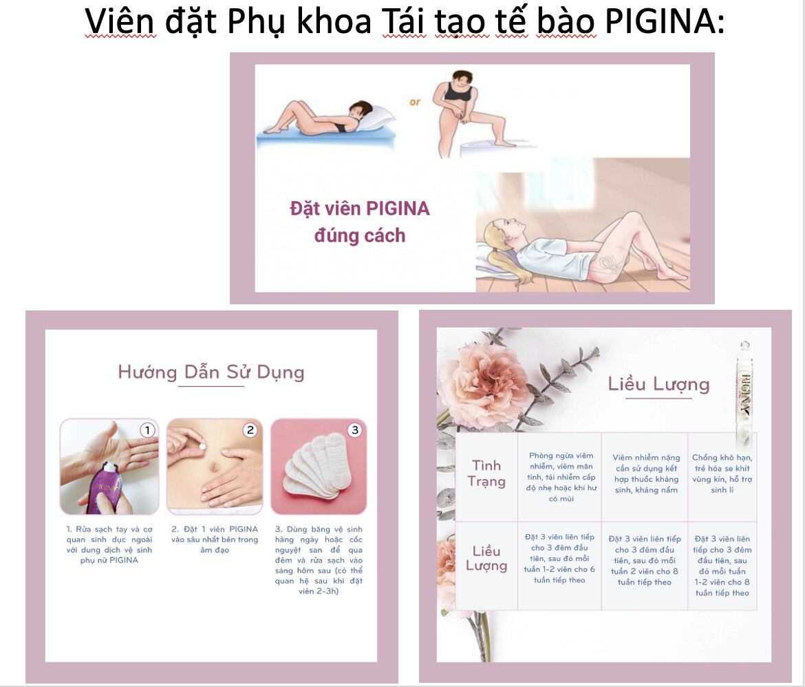Viên đặt phụ khoa PIGINA (Hộp 6)