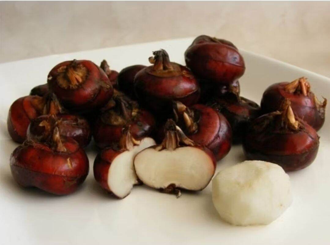 1kg củ mã thầy (củ năng)nguyên vỏ