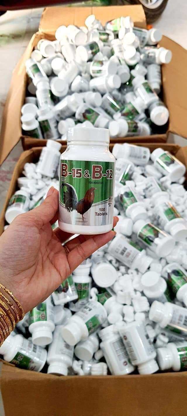 B12-15 hừng gà cho gà