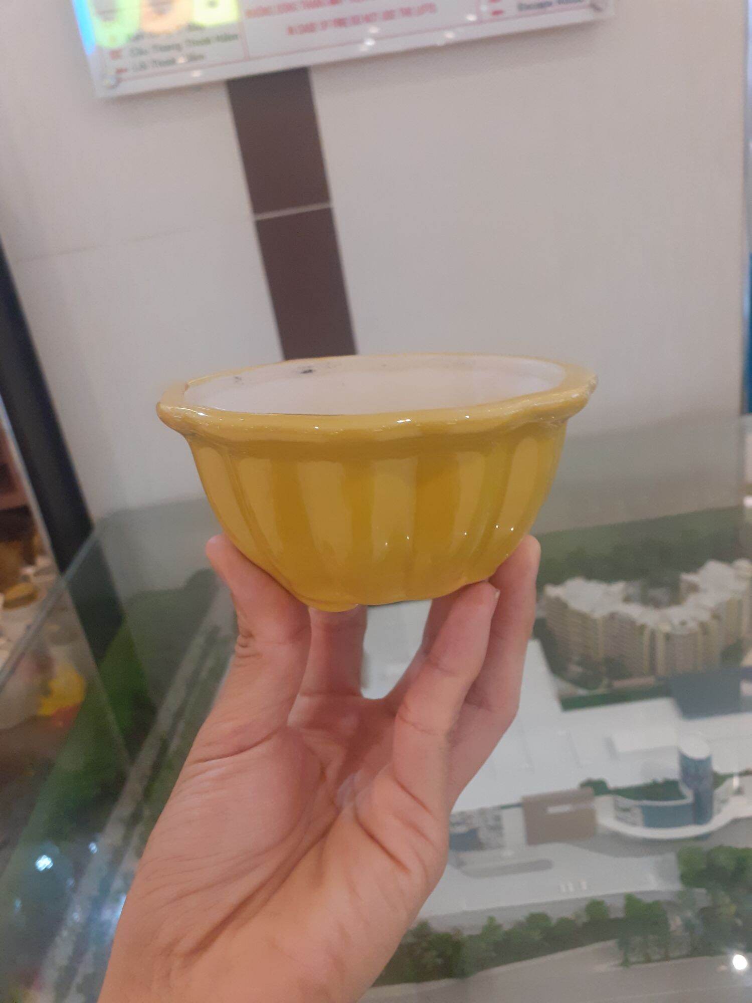 Chậu bon sai mini