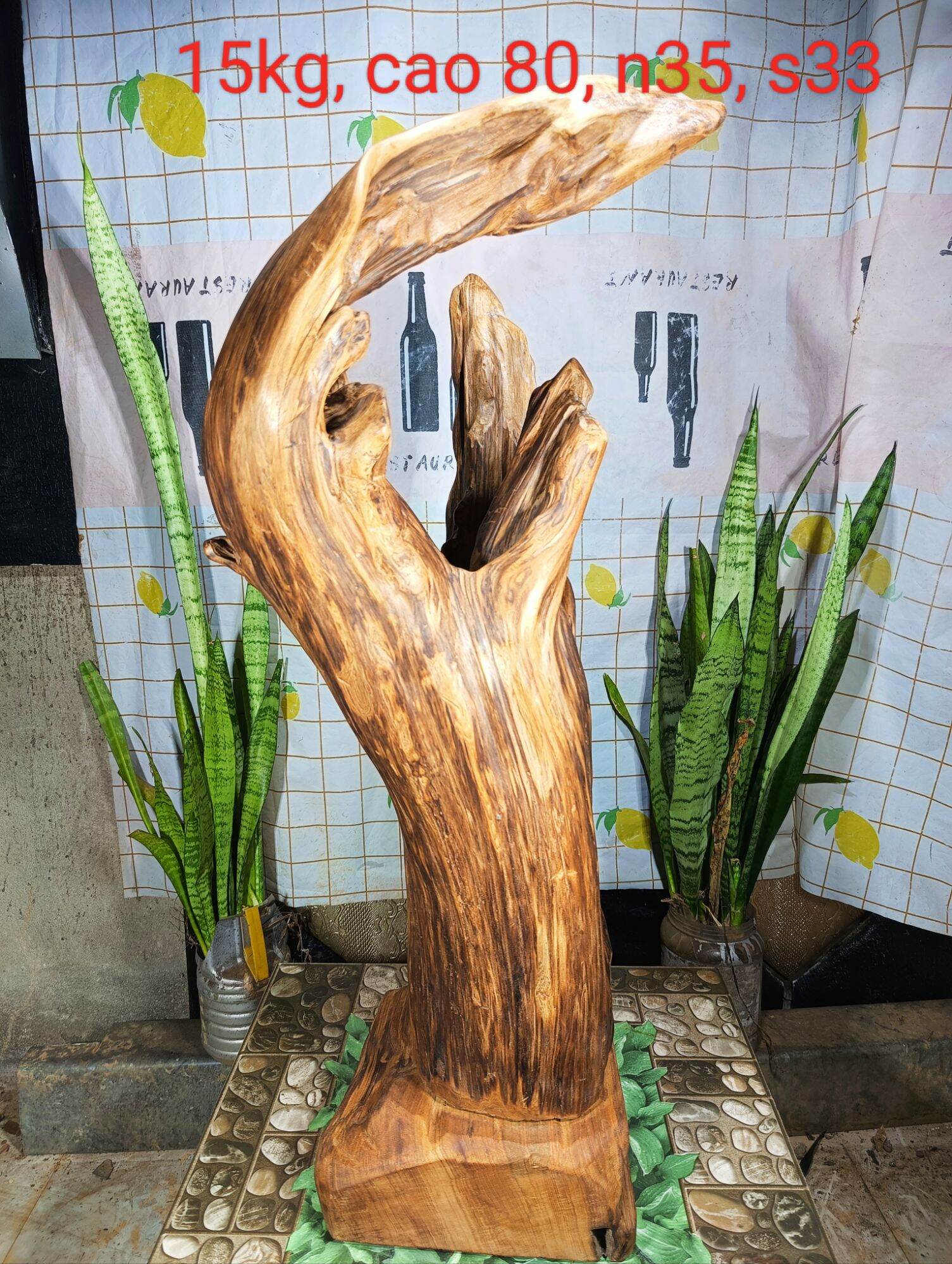Lũa gỗ thơm ngọc am đỏ hà giang