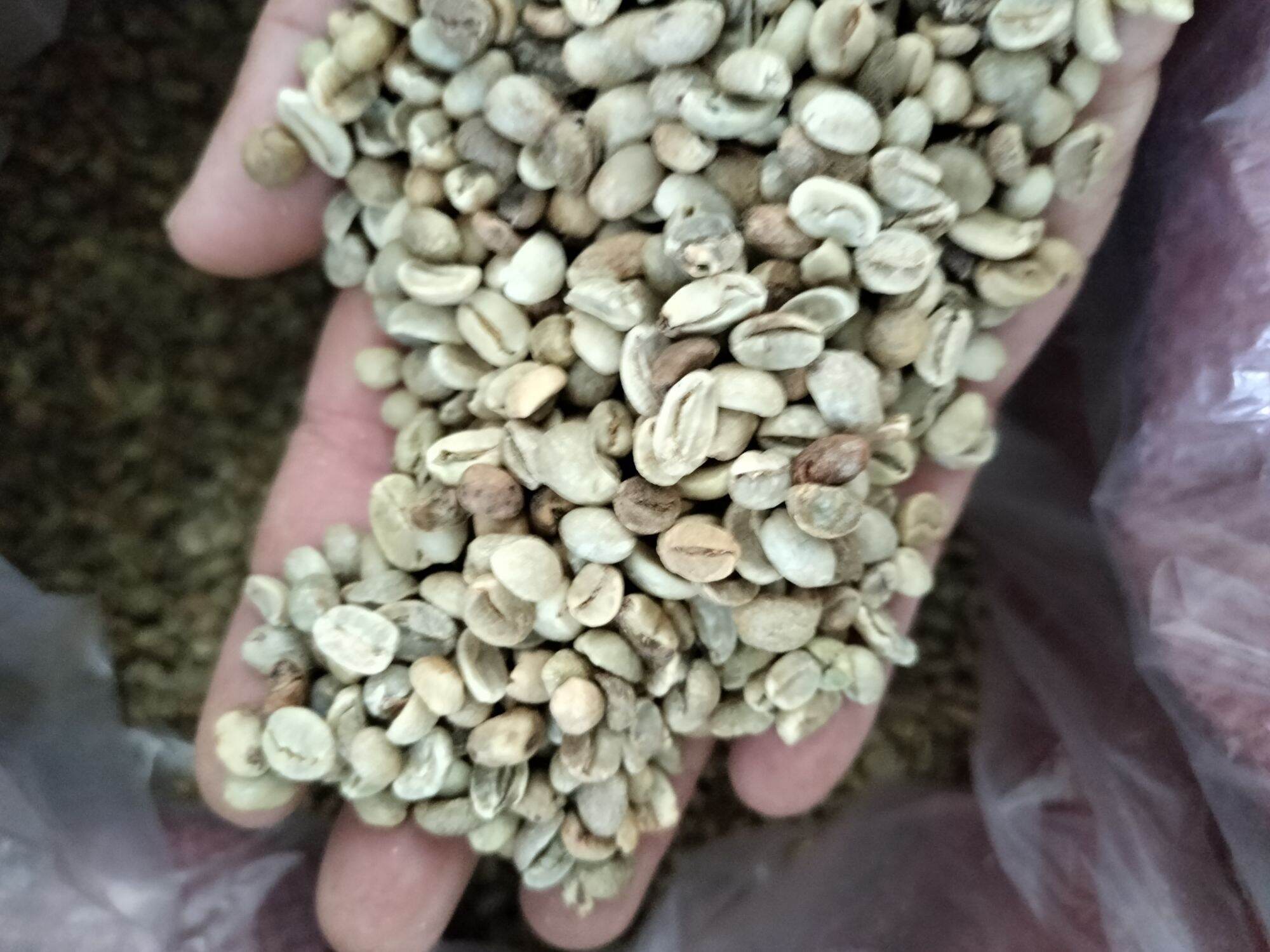 cà phê hạt,500g, (Robusta+culi+arabica)