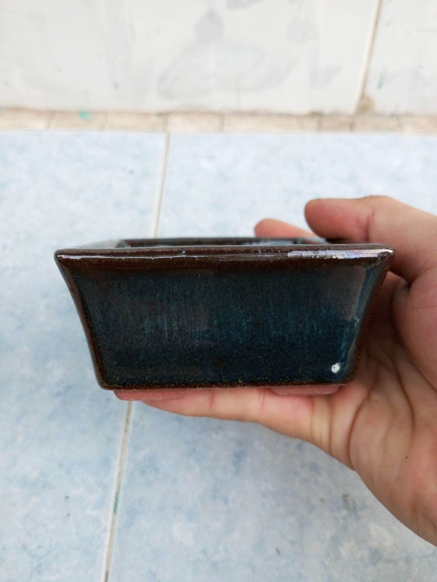Chậu vuông bonsau mini