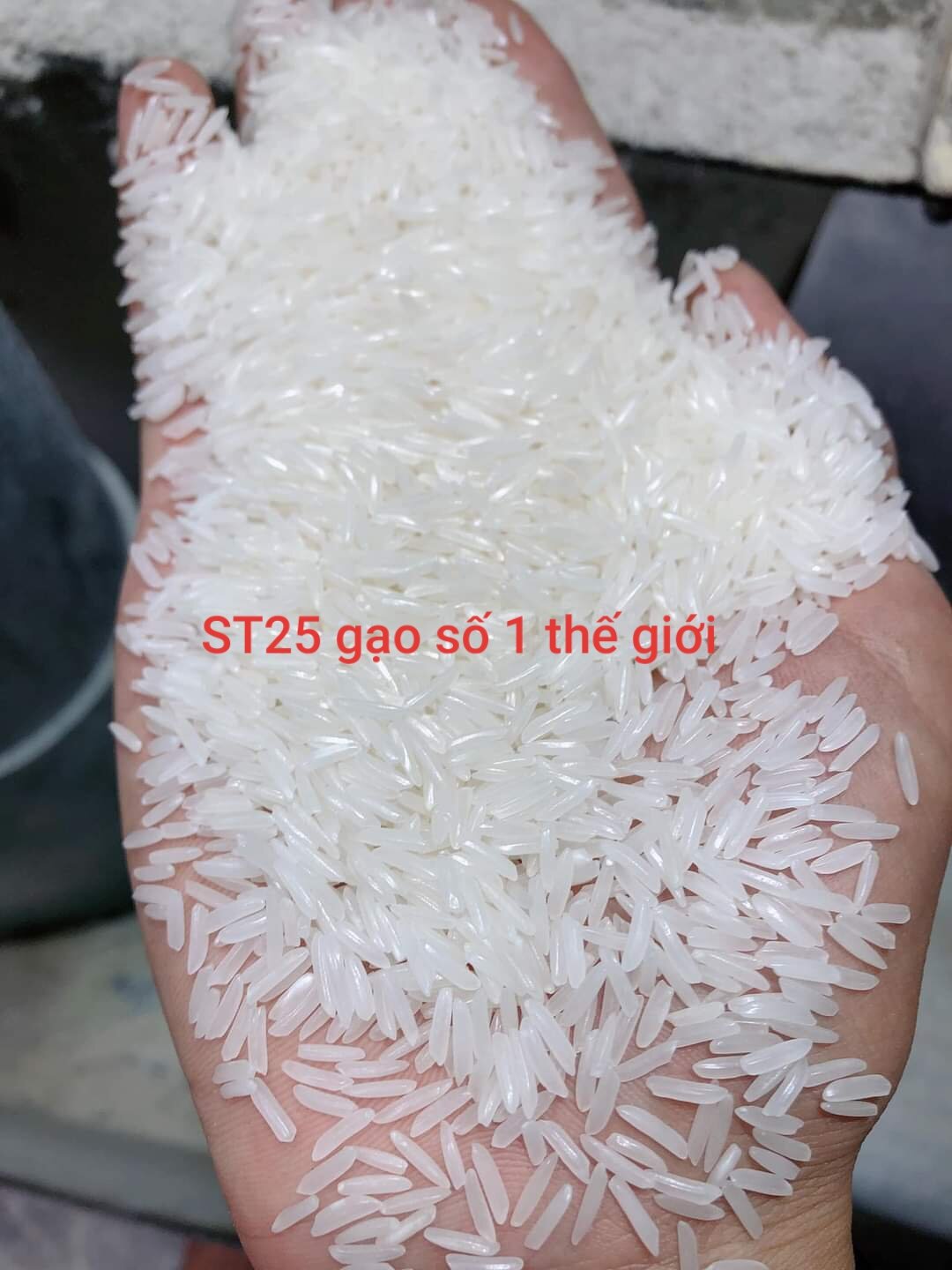 gạo st25 túi 2ky