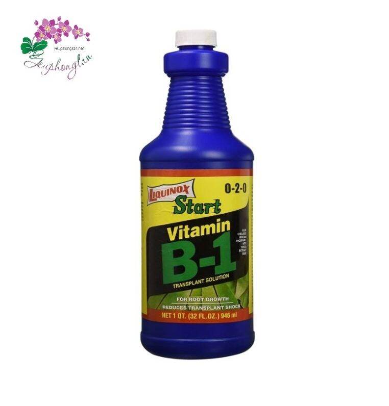 Phân bón Vitamin B1  - Liquinox Start 0-2-0 nhập USA