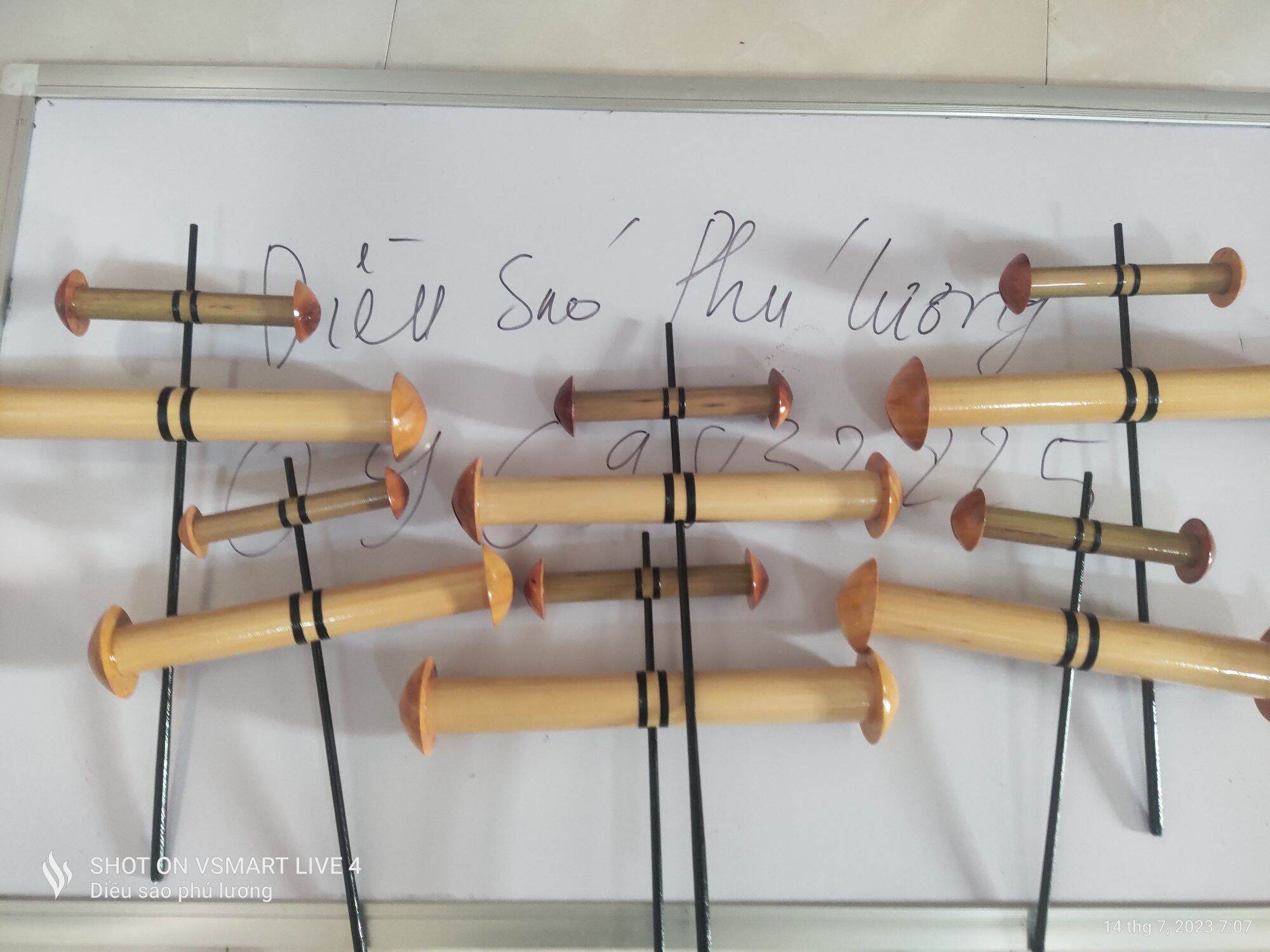 Sáo diều còng còi d35