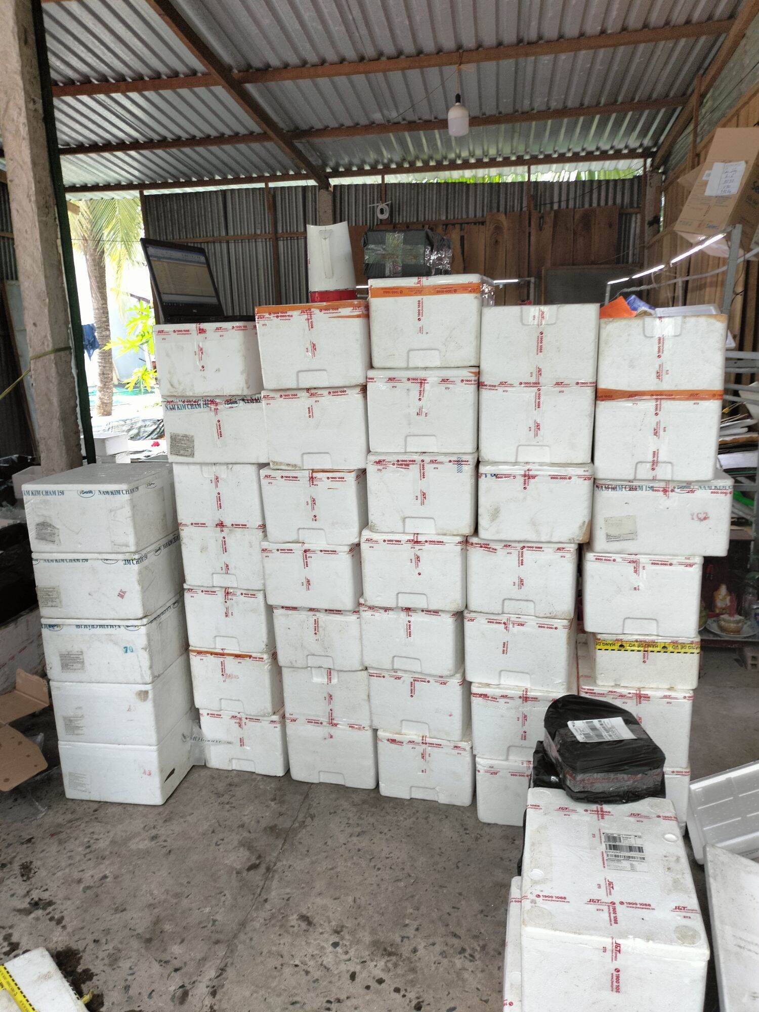 Thùng xốp nuôi cá, trồng rau