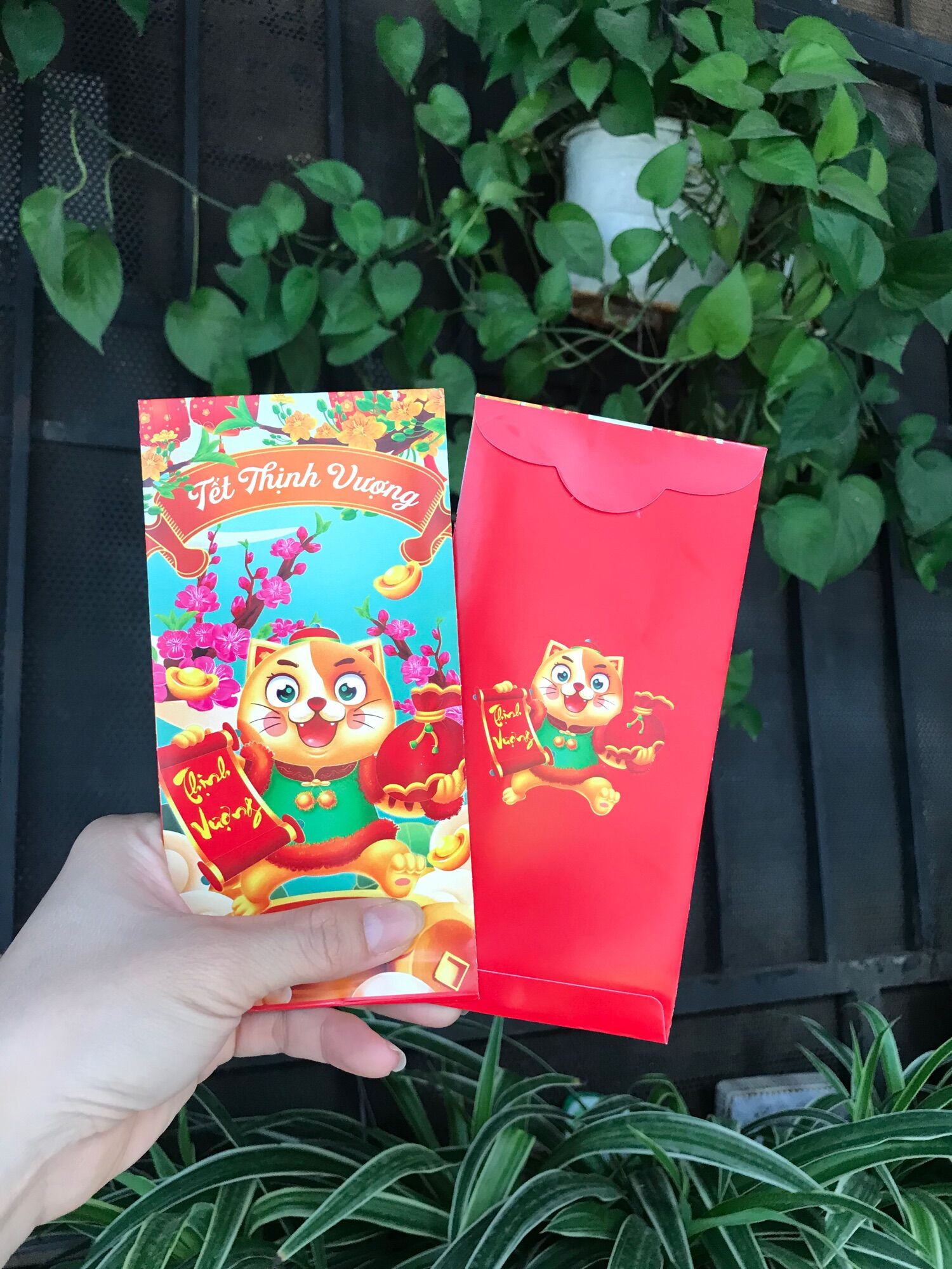 Combo 6 Bao Lì Xì Tết Quý Mão 2023