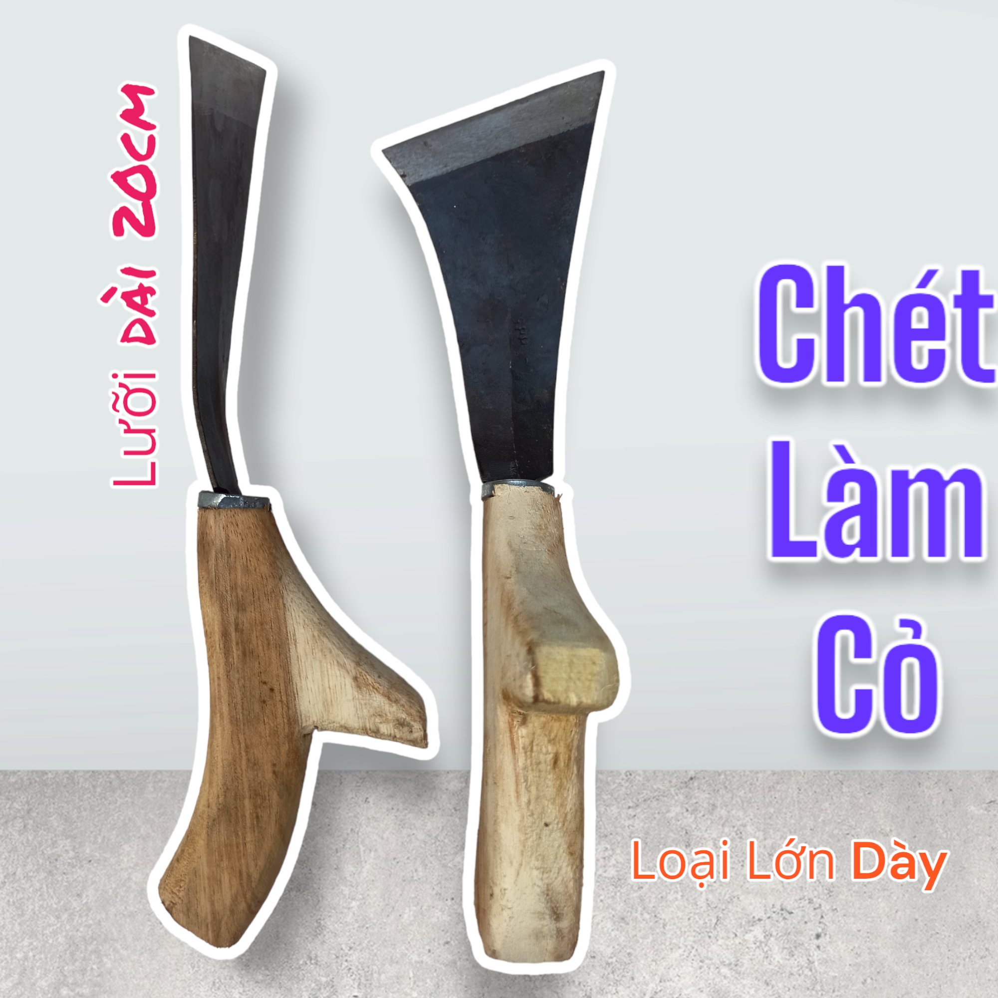 Chét, trét làm cỏ vườn loại lớn dày