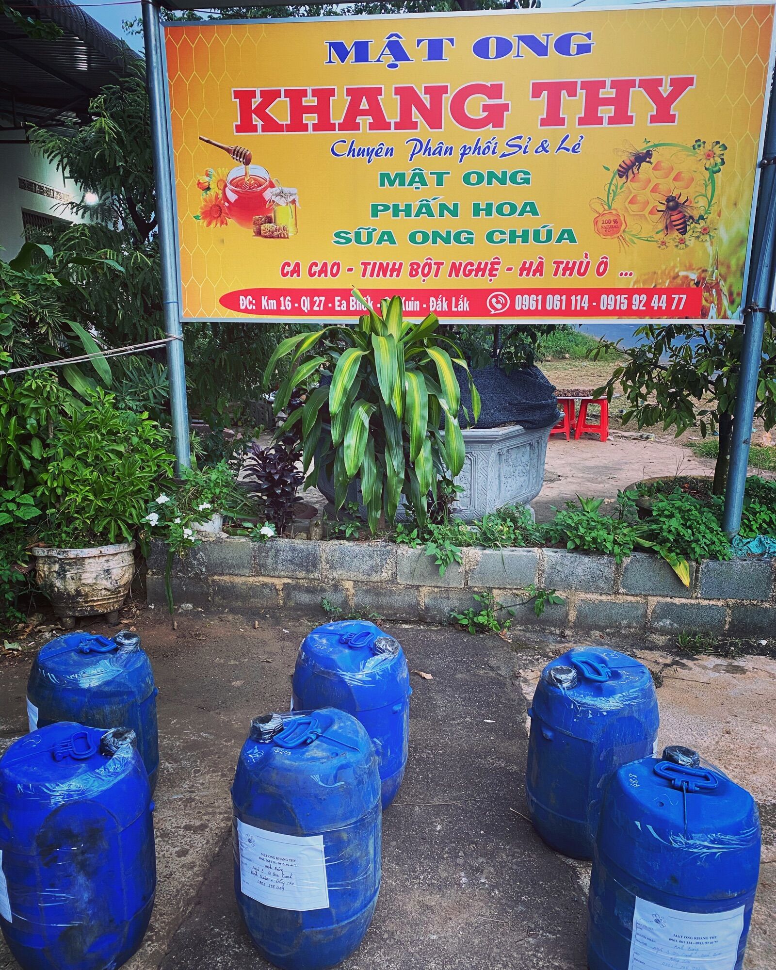 3 Lít mật ong hoa cà phê nguyên chất đaklak