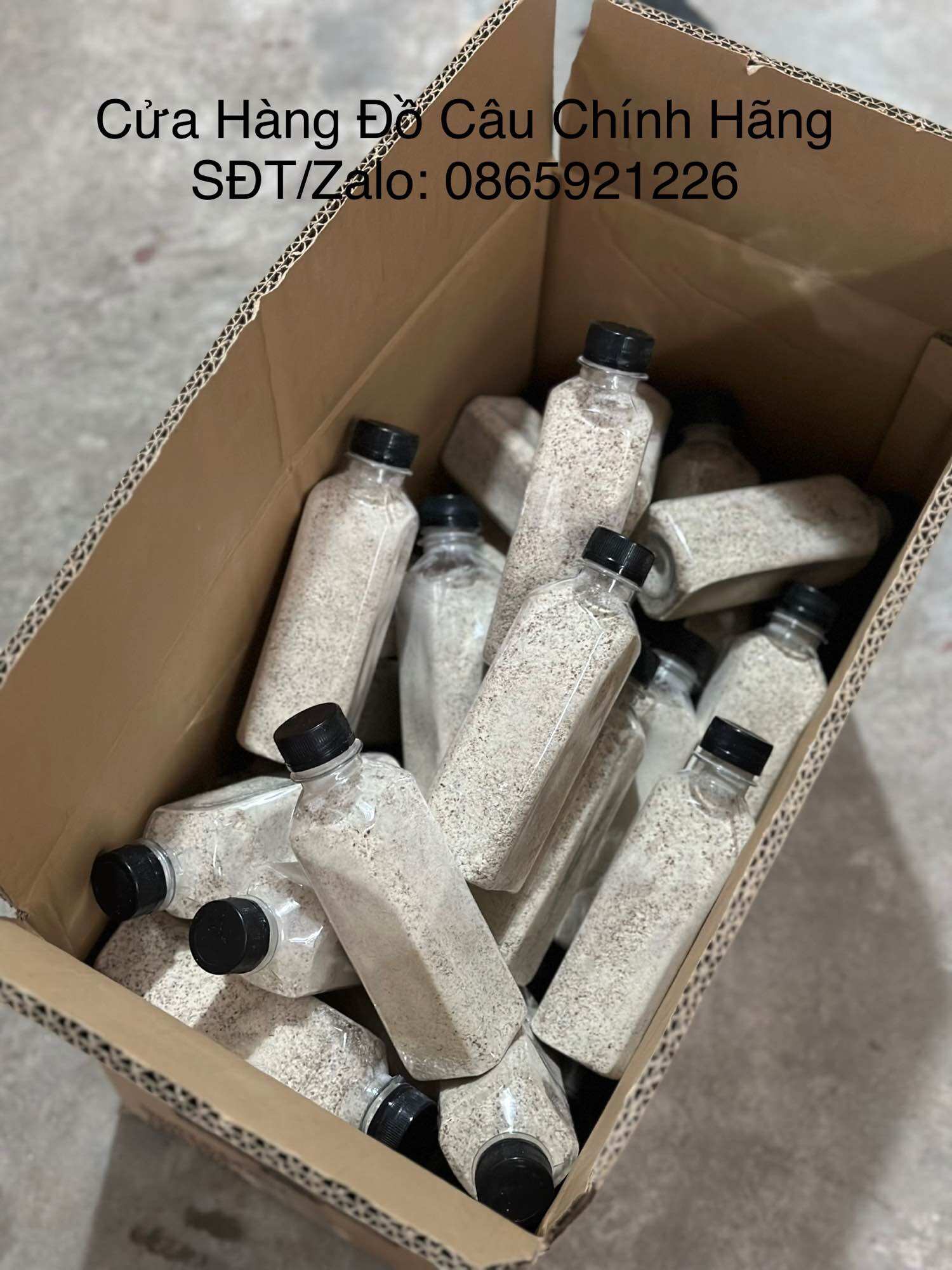 Bột Tơ Nhện Câu Cá