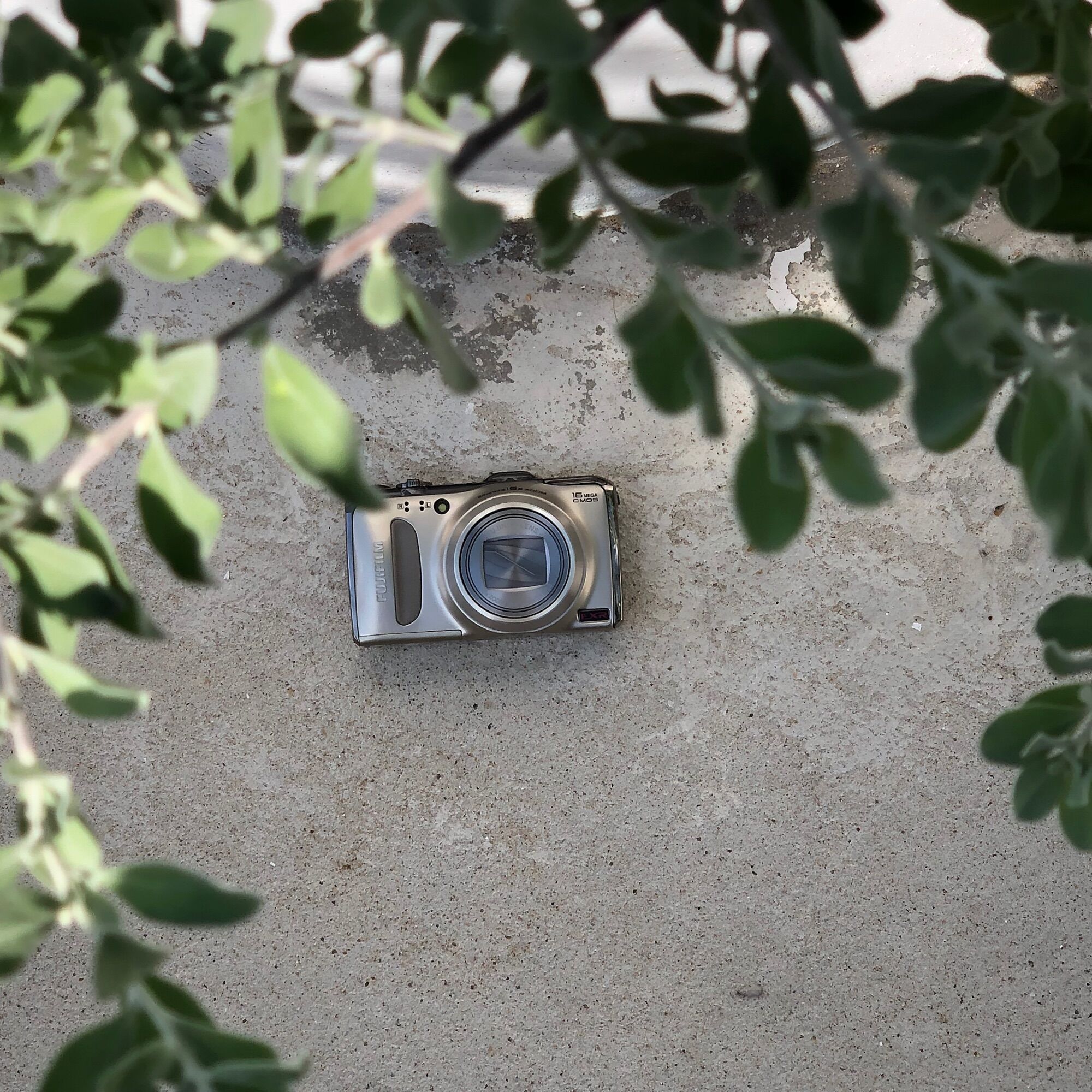 Máy ảnh compact - ngot.retro