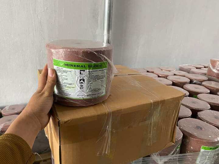 Đá liếm tổng hợp 1v/5 kg