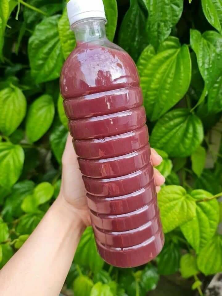 [ Siêu Ngon] 1Lít Rựu Nếp Than Nguyên Chất Nhà Làm