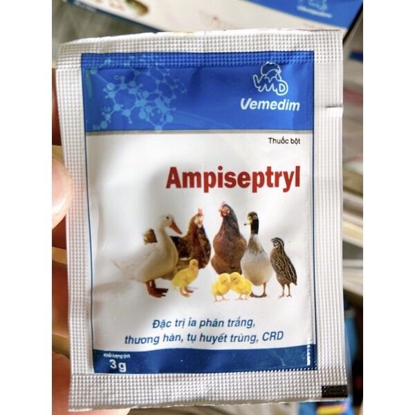 AmipiSeptryl phòng ngừa tiêu chảy gà đá, chim cảnh