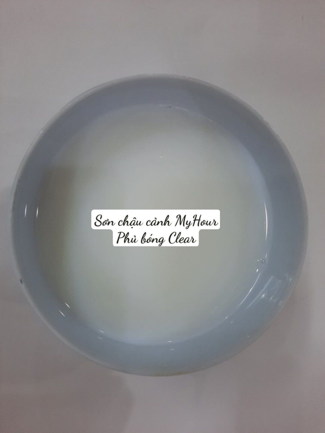 Sơn phủ bóng chậu cảnh,Sơn Chậu Cảnh, Sơn Chậu Kiểng, Sơn Trang Trí My Hour