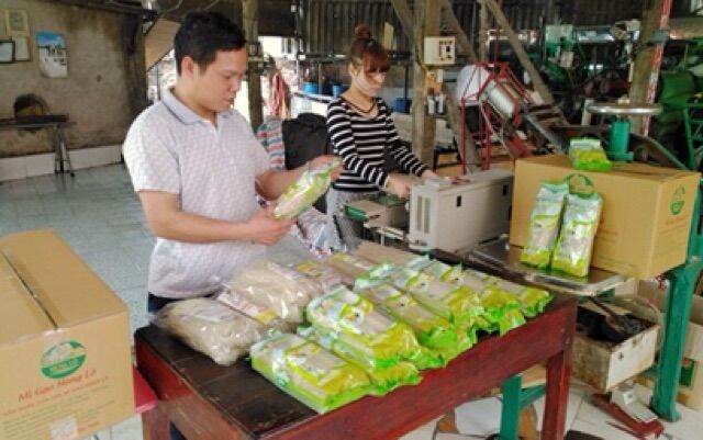 Mì gạo Hùng Lô 0,5kg