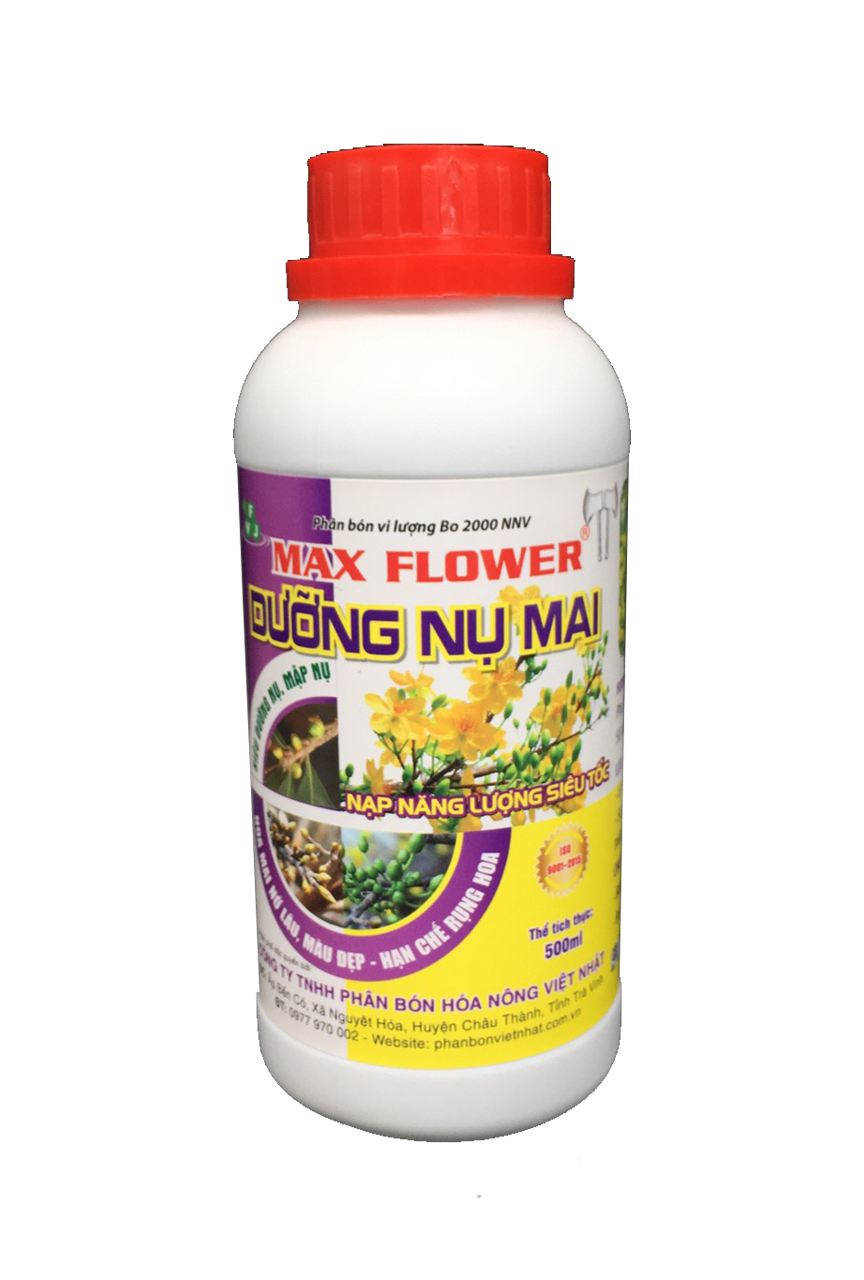 PHÂN BÓN MAX FRUIT - DƯỠNG NỤ MAI VÀNG. CHAI 500ML