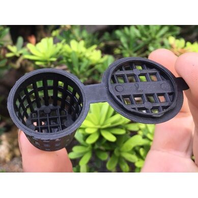 set 100 cái rọ đựng phân tan chậm
