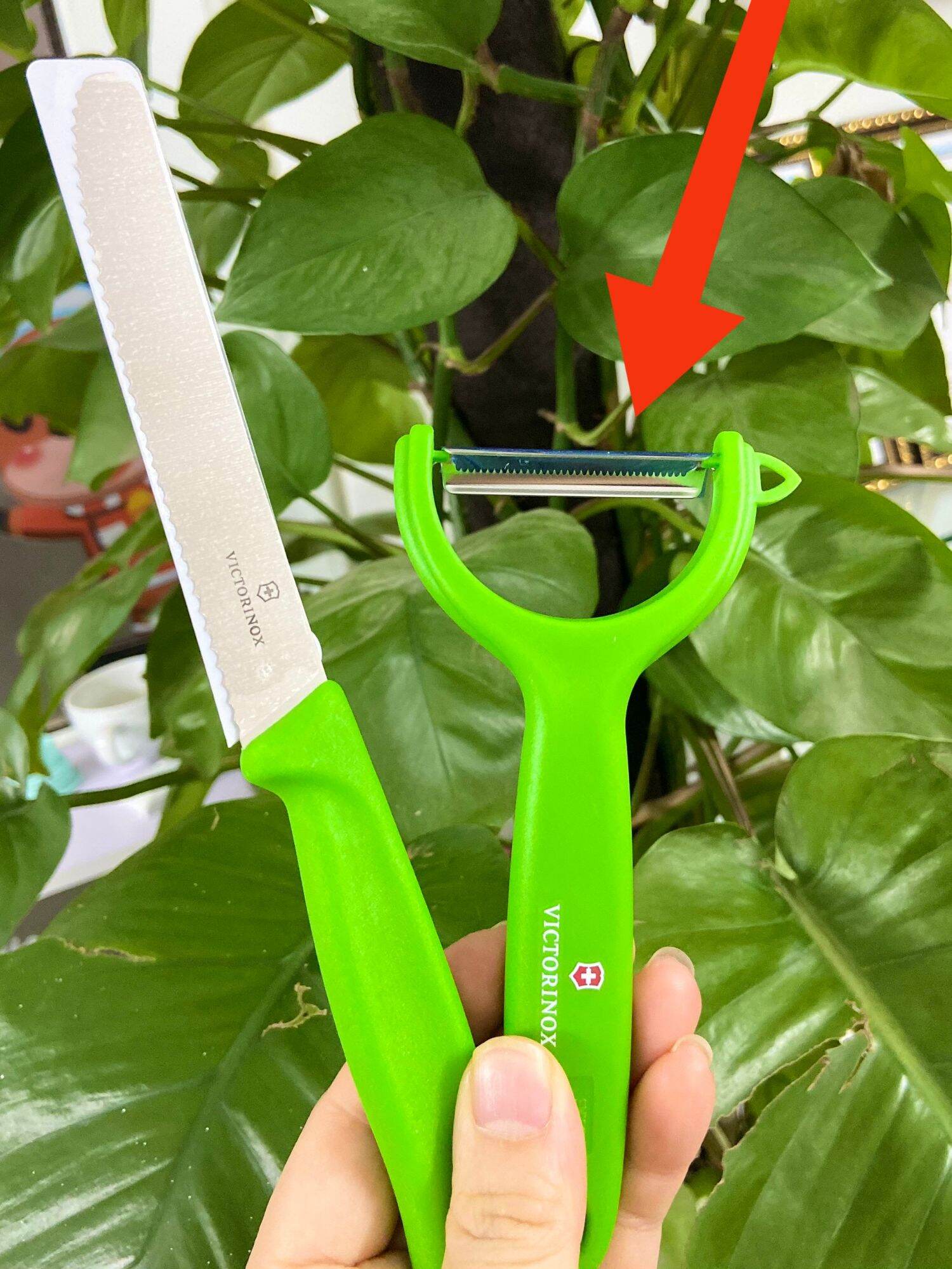 Nạo,bào chữ y victorinox - răng cưa