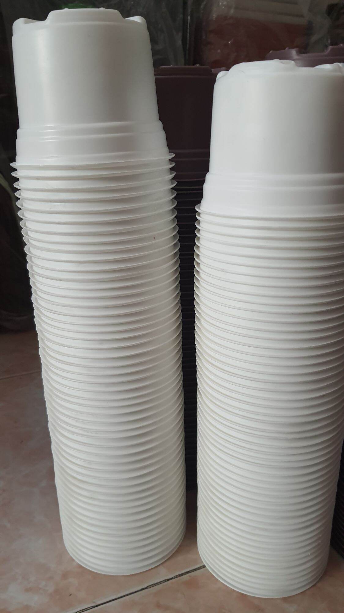 bán sỉ 100 cái chậu trồng sen đá, xương rồng, ươm cây con.10x8cm