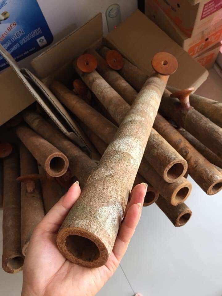 Điếu cày quế yên bái