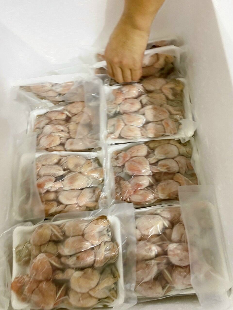 Đùi ếch vĩ 500g (giao 4h tphcm)